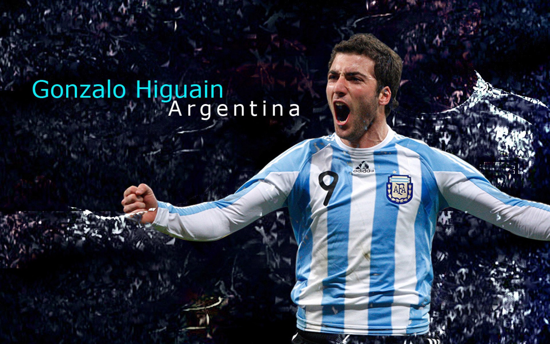 女子网球竞争愈发激烈